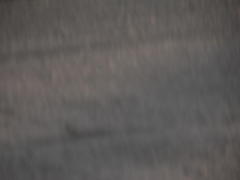 P1000225.JPG
