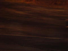 DSC01727.JPG
