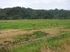 DSC02480.JPG
