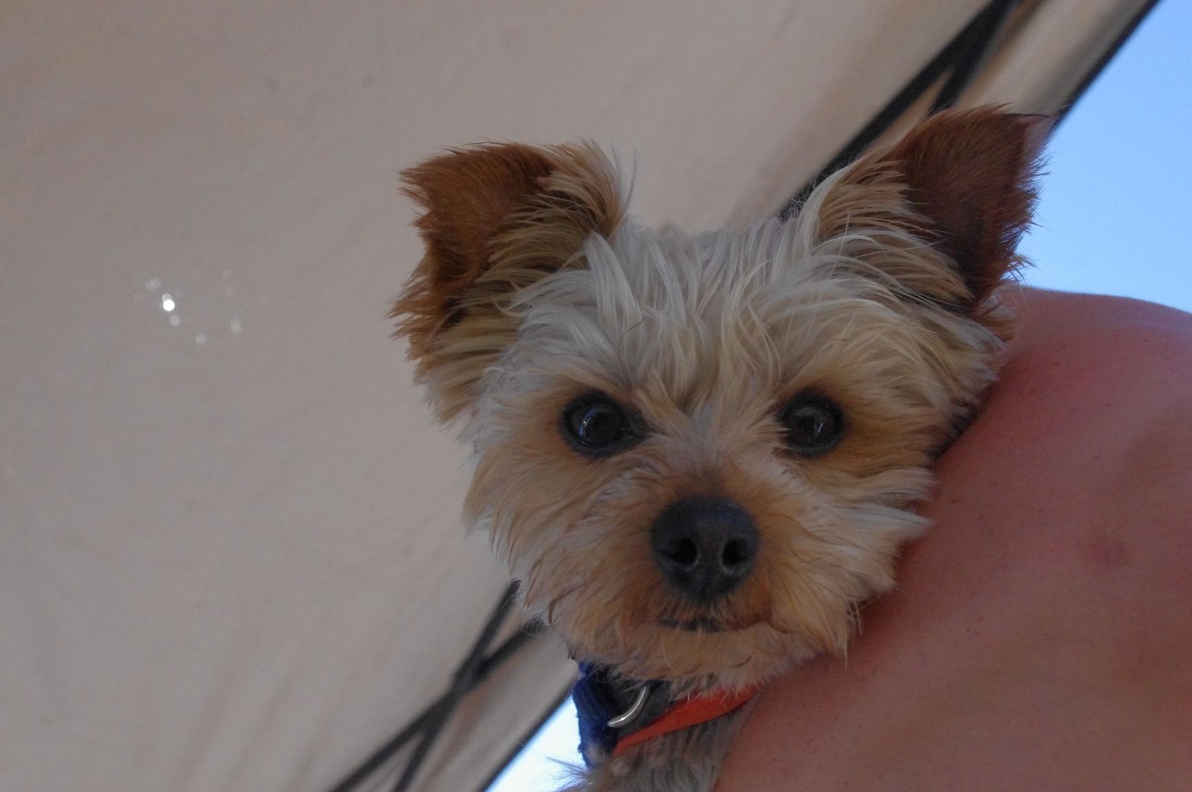 IMGP0702.JPG