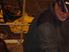 DSC00516.JPG